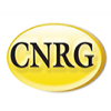 Central Network Retail Group