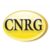 Retail Store - Merchandiser