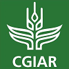 N-24-61 Senior Research Associate,, Rights and Environmental Justice