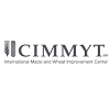 International Maize and Wheat Improvement Center (CIMMYT)