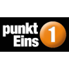 punktEins GmbH