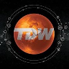 TDW Bi Consulting