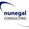 Nunegal Consulting