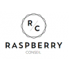 Raspberry Conseil