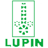 Lupin