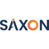 Microsoft Dynamics Consultant