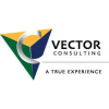 Vector Consulting, Inc-logo