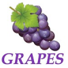grapes-logo