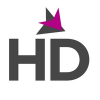 Senior Interior Designer