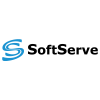 Digital Transformation Lead