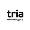 Senior Project Manager