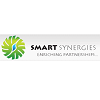 Smart Synergies-logo