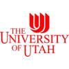 Academic Child and Adolescent Psychiatrist (Med-Psych)