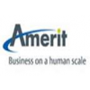 Amerit Consulting-logo