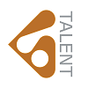 Blackstone Talent Group-logo