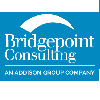 Bridgepoint Consulting-logo