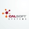 Calsoft Systems-logo