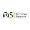 Assistant Project Manager