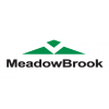 MeadowBrook