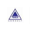 Consult-logo