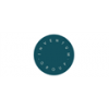Sales Executive