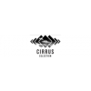 Supplier Development Manager