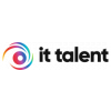 IT Talent Solutions