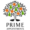 Sales Team Leader