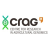 Postdoc Researcher