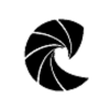 Criterion Executive Search-logo