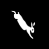 Falling Rabbit