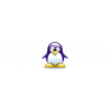 Purple Penguin Creche