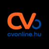 Store Manager / Üzletvezető