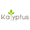 Kalyptus-logo