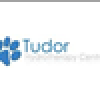 Tudor Treadmills-logo