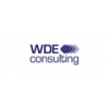 WDE Consulting Ltd-logo