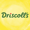 Driscoll's-logo