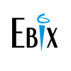 Ebix India Jobs Expertini