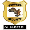 La société PERFECT SECURITY