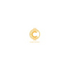 Senior Risk Manager