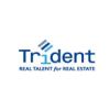 Trident International Associates