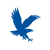 Embry-Riddle Aeronautical University-logo