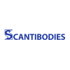 Scantibodies
