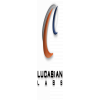 Lucasian Labs México S.C