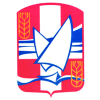Directeur général des services DGS H / F