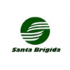 Santa Brígida-logo