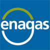 Enagás GTS, S.A.U.-logo