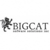 Bigcat Software Solutions, Inc.