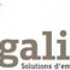 Ergalis Seltz Délégation Allemagne-logo