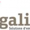 Ergalis St Etienne-logo
